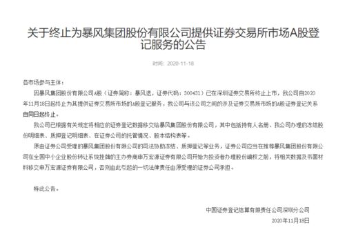 暴风集团A股登记服务终止 深交所审核制度的合规性审视